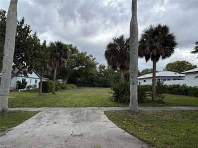 3427 Avocado DR