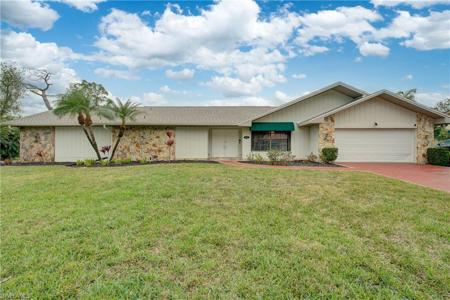 16597 Bear Cub CT