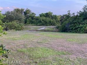 Image 3: View of yard featuring a forest view