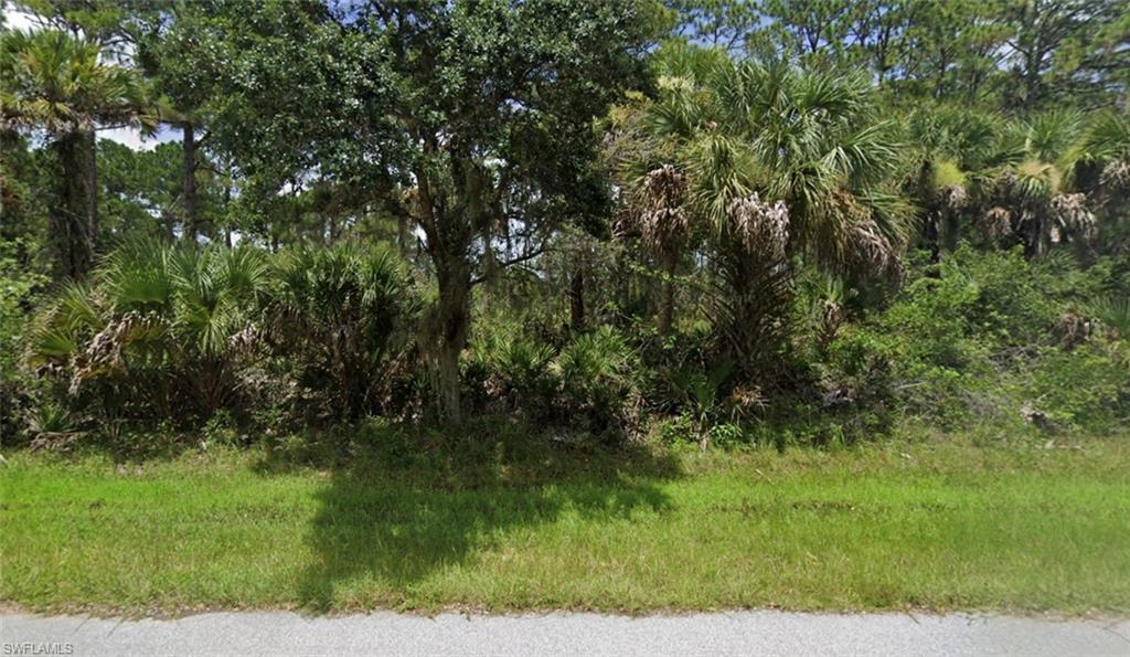 Image 3: View of local wilderness