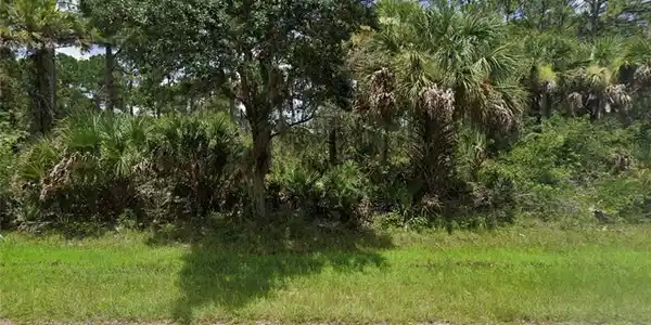 Image 3: View of local wilderness