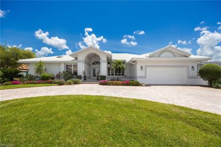 16564 Bear Cub CT