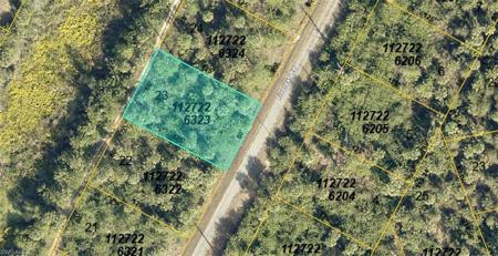 1127226323 Fiveleaf RD