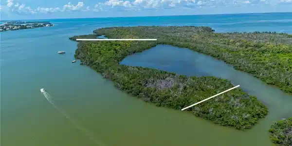 Image 2: Buck Key