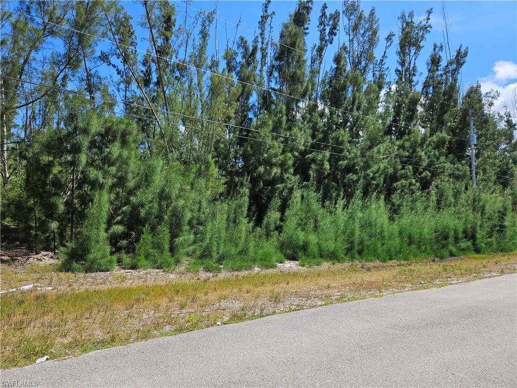 Image 3: View of asphalt street