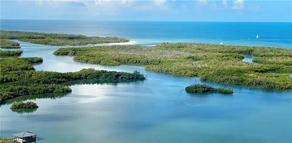 Image 1: Views from ph05
