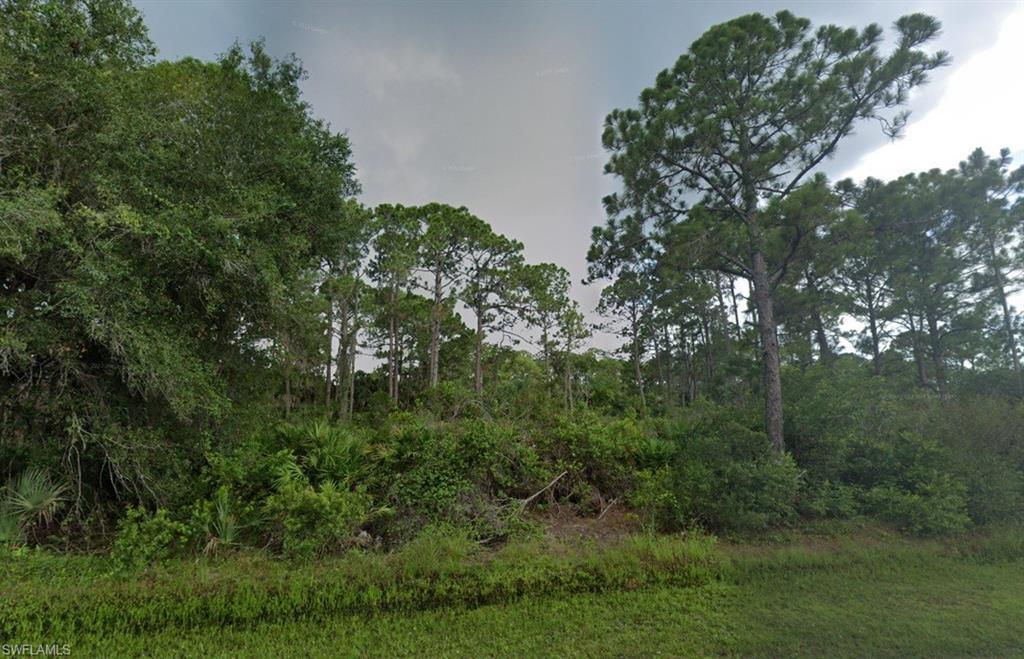 Image 4: View of local wilderness