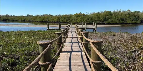 Image 2: Private dock with a water view