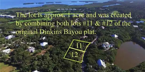 Image 3: Dinkins Bayou Lot