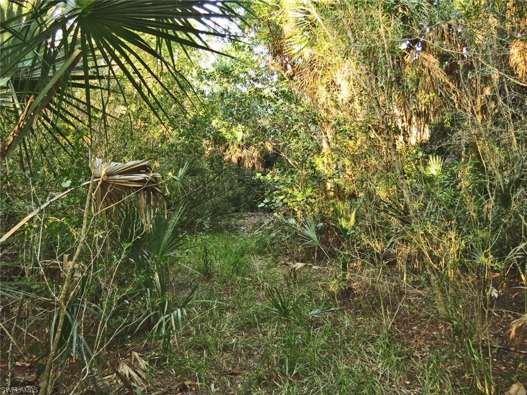 Image 4: Path into Lot Next to Sign