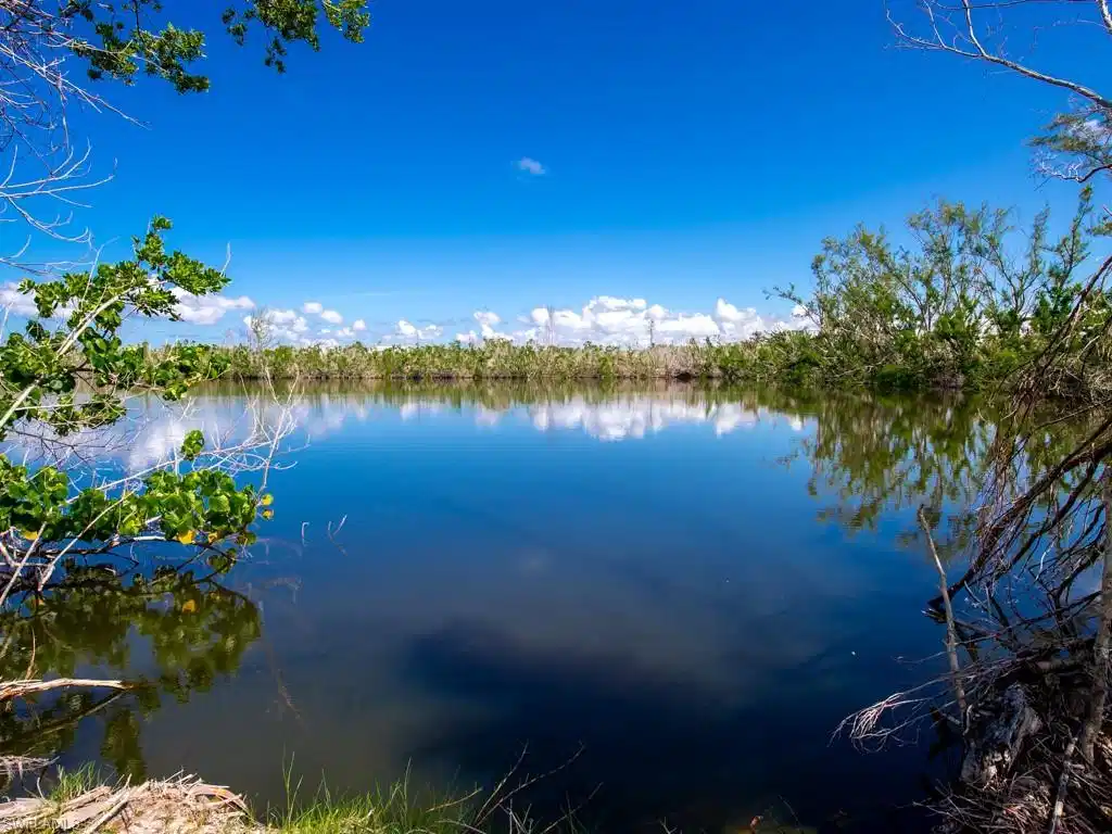 Image 1: Lake View