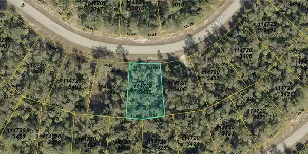 1147203405 Whaling RD
