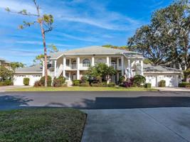 15103 Royal Fern