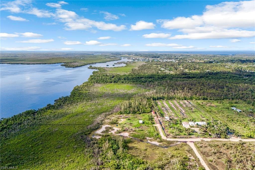Image 4: Bird's eye view of a large body of water and a forest