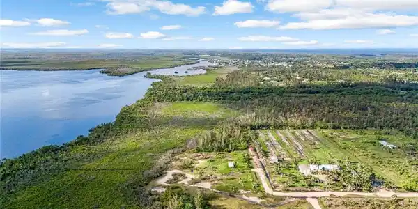 Image 4: Bird's eye view of a large body of water and a forest