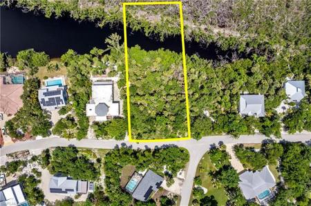 2002 Wild Lime DR