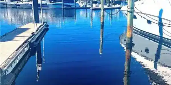 D21 Gulf Harbour Marina