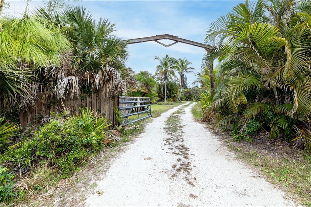 Image 2: Entrance to the properties are protected by an electric gate with working keypad. Perfect for keeping all of your equipment and future home safe.