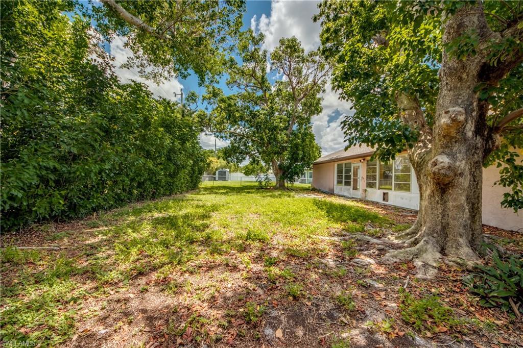 Image 4: Back Yard