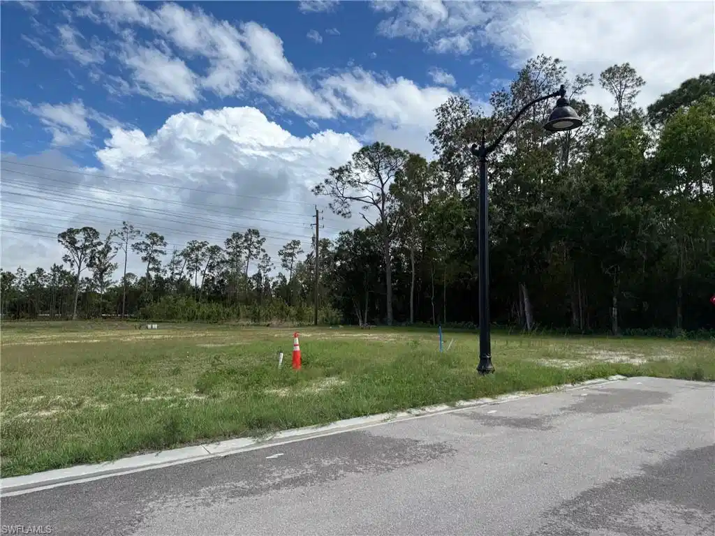 Image 1: Expansive lot with cleared land, featuring a paved street frontage, concrete curbing, and a black decorative street lamp