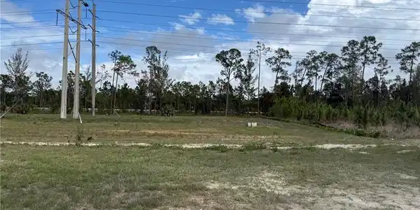 Image 3: Expansive undeveloped parcel featuring established vegetation and a clear sky backdrop