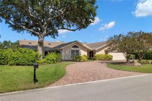 707 Buttonbush