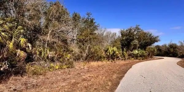 Image 3: View of asphalt road