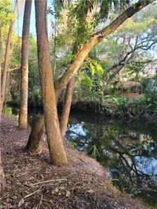 16470 Daughtreys Creek parcel A RD
