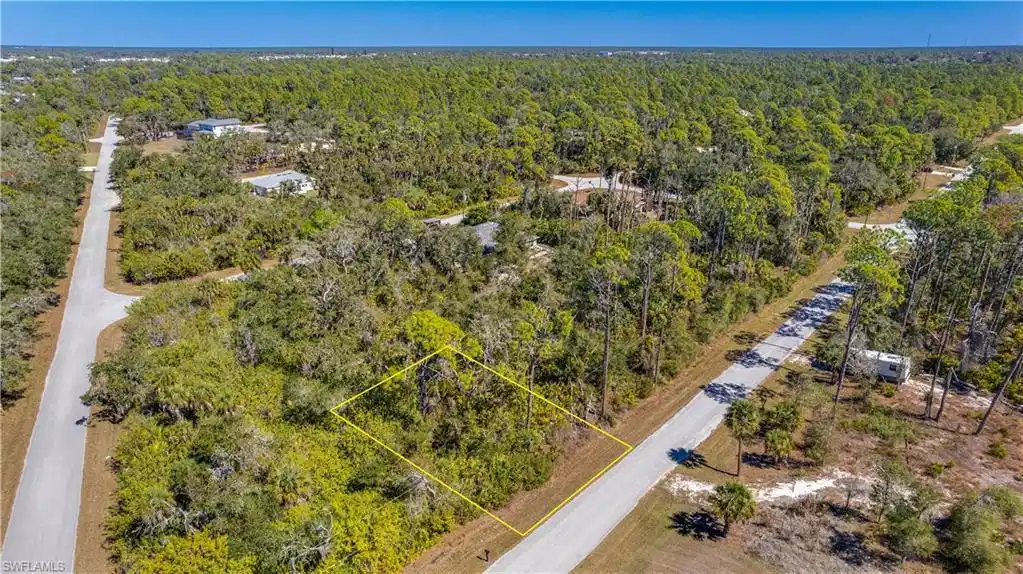 Image 1: Drone / aerial view of a heavily wooded area