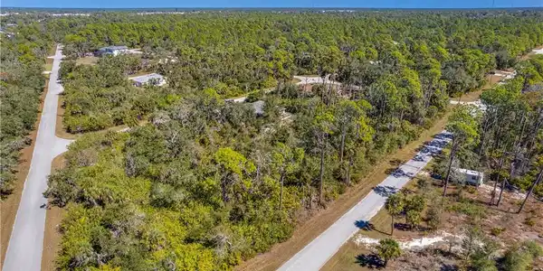 Image 2: Bird's eye view of a heavily wooded area
