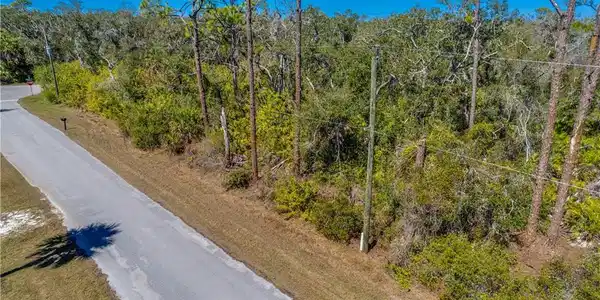 Image 3: Bird's eye view
