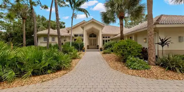 24550 Black Rush CT