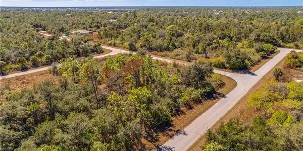 Image 4: Drone / aerial view of a forest