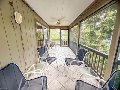 25 Urchin CT