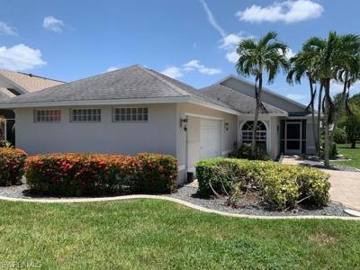 13380 Wild Cotton CT