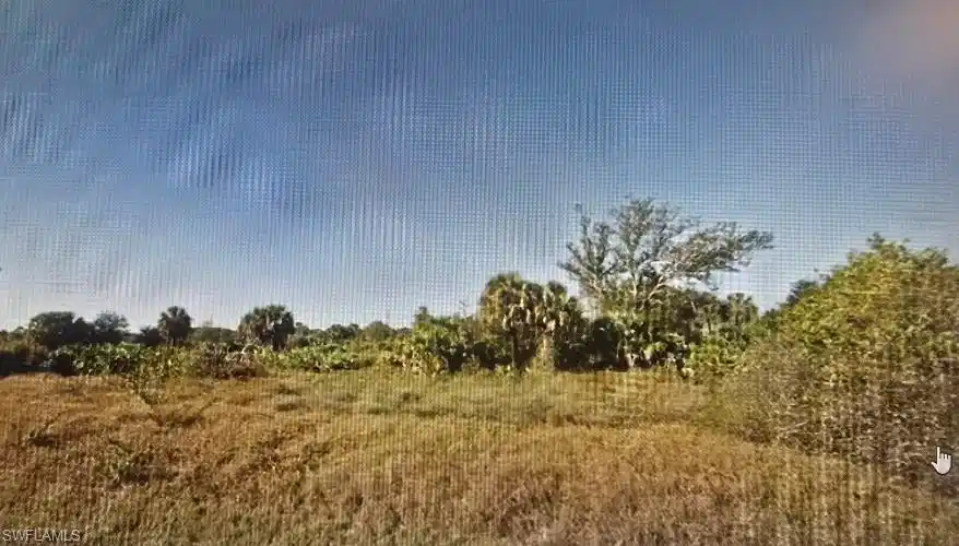 Image 1: View of local wilderness featuring rural landscape