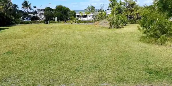 Image 3: Front view of yard
