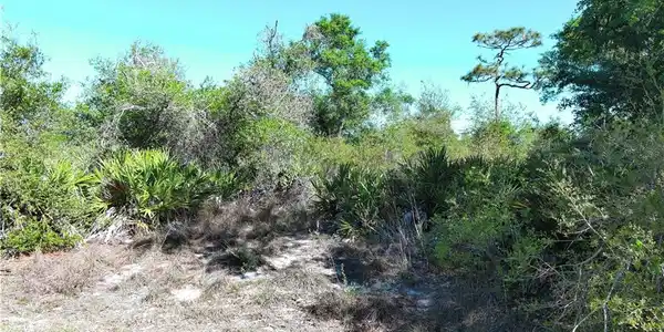 Image 2: View of undeveloped land