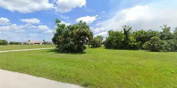 Image 4: View of grassy lot