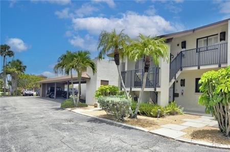808 Cape Coral