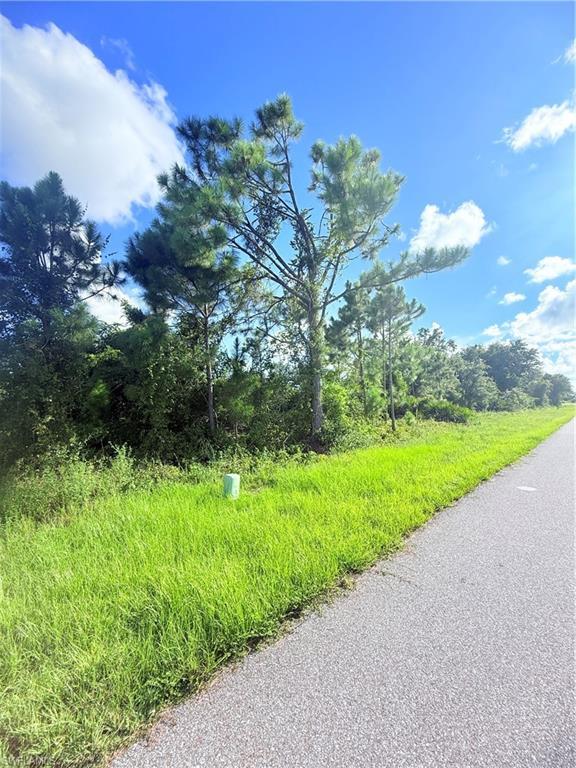 Image 2: View of asphalt road