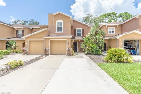 15131 Piping Plover CT