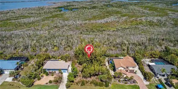 Image 4: Aerial view of residential area with a large body of water and a forest
