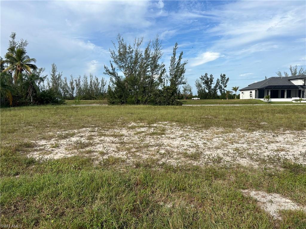 Image 3: View of yard
