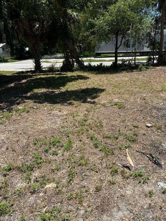 Image 1: View of yard