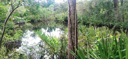 17011 Cypress Creek DR
