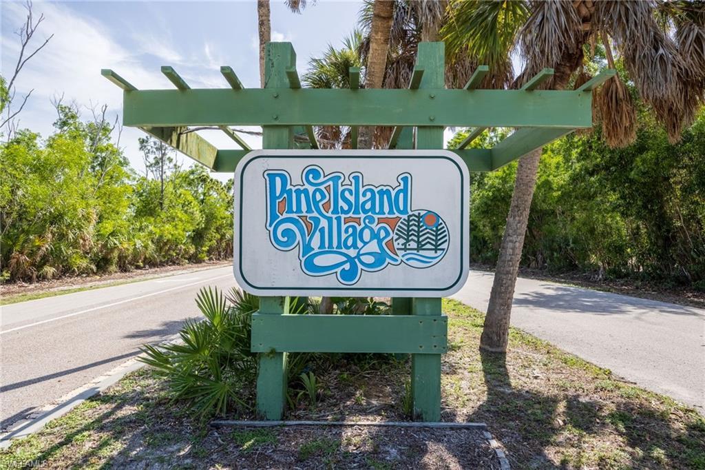 Image 3: Pine Island Village