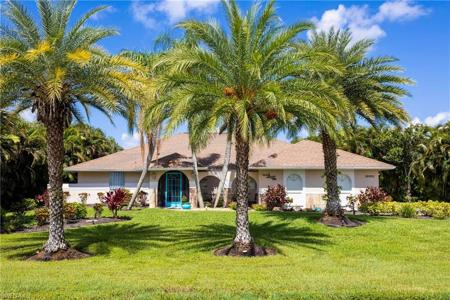 18001 Royal Tree PKWY