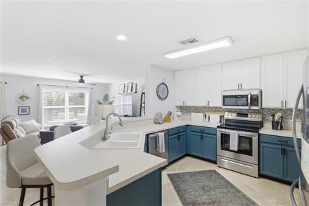 15150 Piping Plover CT