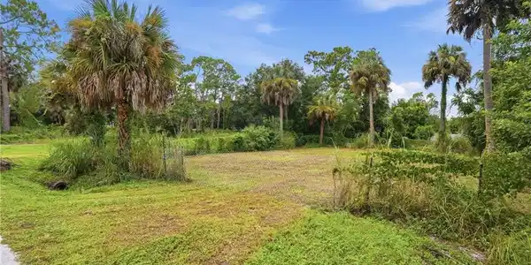 Image 2: Expansive lot featuring mature palm trees and lush perimeter foliage